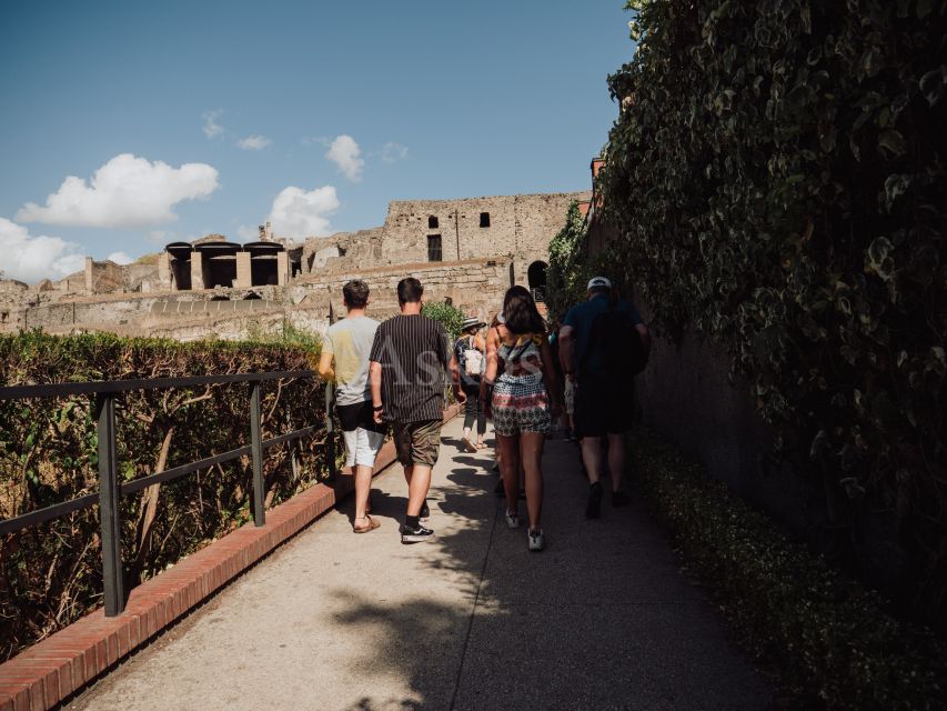 From Naples: Pompeii & Herculaneum with Archaeologist Guide - Key points to know before booking