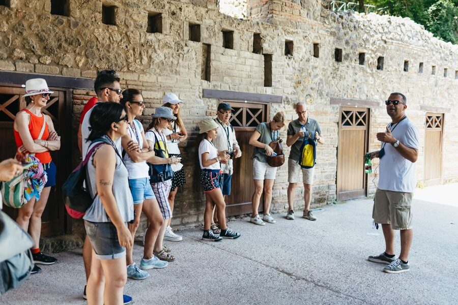 From Naples: Pompeii Ruins & Mount Vesuvius Day Tour - Key points at a glance