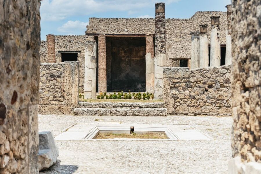 From Naples: Pompeii Ruins & Mount Vesuvius Day Tour - Who should book this day trip?