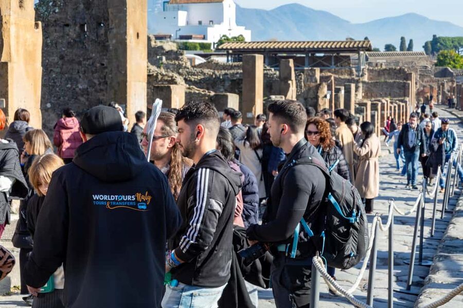 From Naples: Pompeii Skip-the-Line Entry Ticket and Tour - Meeting the bus at Naples port or hotel
