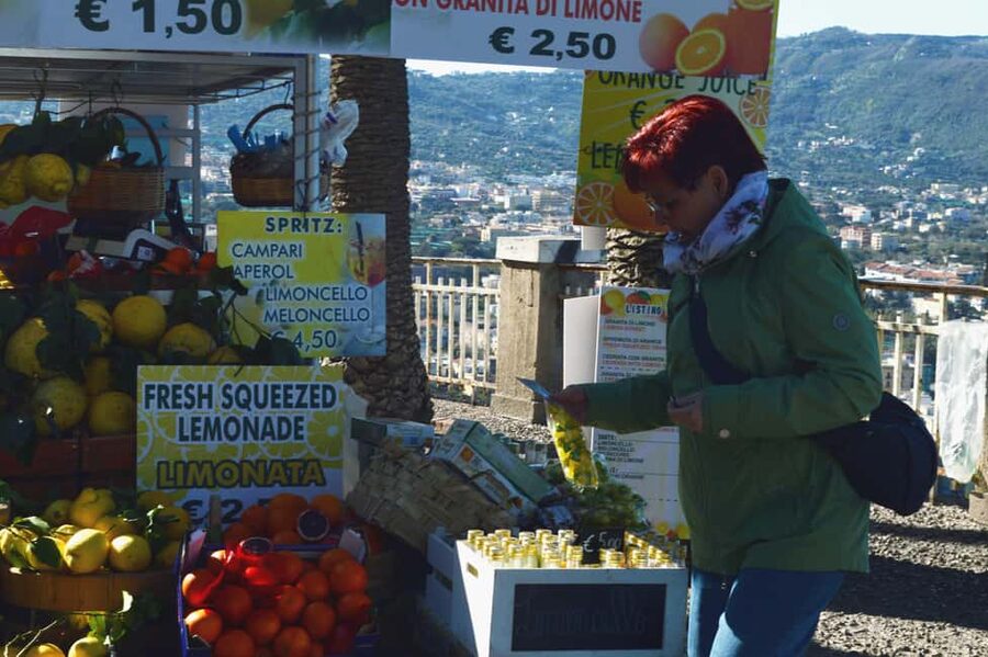 From Naples/Salerno: Group Tour to Positano, Amalfi, Ravello - What to budget beyond the $101.96 fare