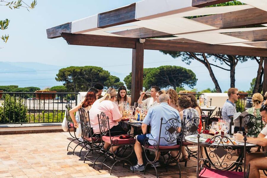 From Naples: Wine Tasting Tour on Vesuvius Slopes with Lunch - Leaving Naples by minibus