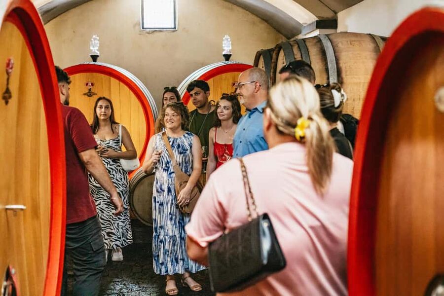 From Naples: Wine Tasting Tour on Vesuvius Slopes with Lunch - Lunch on the terrace