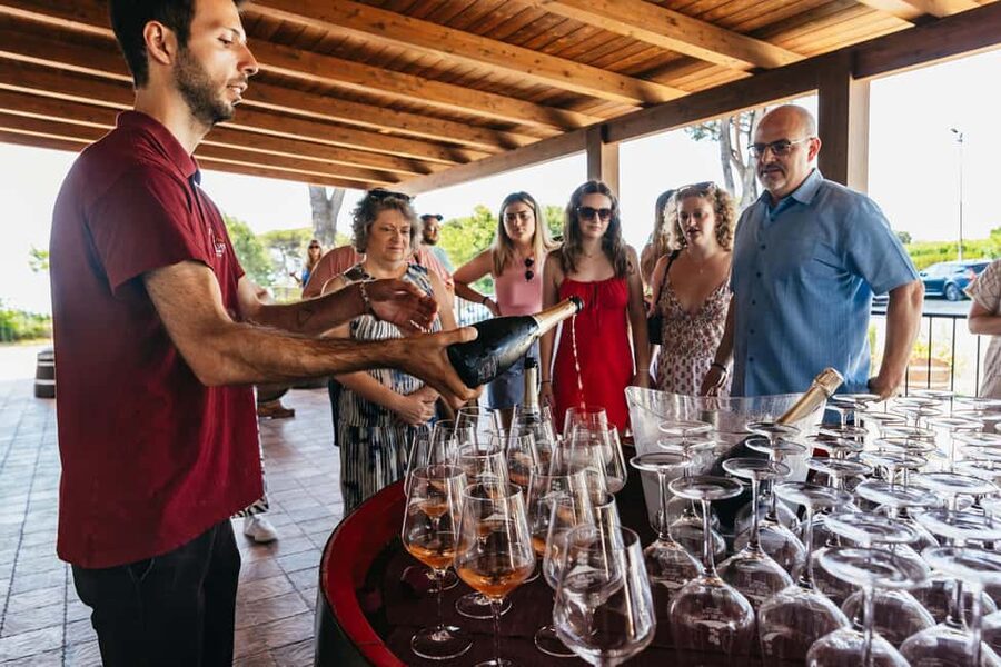 From Naples: Wine Tasting Tour on Vesuvius Slopes with Lunch - Time to shop, walk, and take photographs