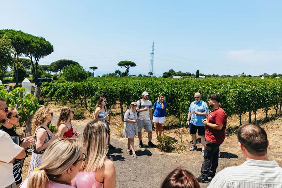 From Naples: Wine Tasting Tour on Vesuvius Slopes with Lunch - The value of the included package