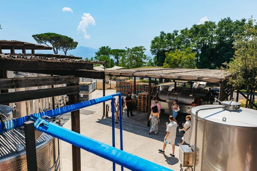 From Naples: Wine Tasting Tour on Vesuvius Slopes with Lunch - What to bring and how to prepare