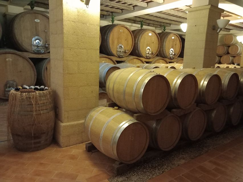 From Palermo: Erice and Marsala Day Trip with Lunch - Why this Palermo day trip works