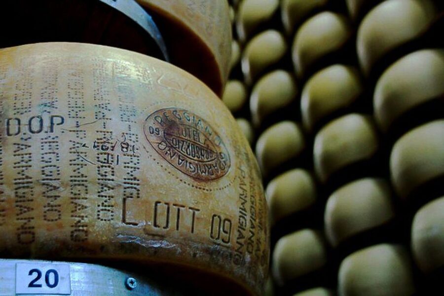 From Parma: Parmesan, Parma Ham & Balsamic Vinegar Tour - Langhirano and the making of Parma ham