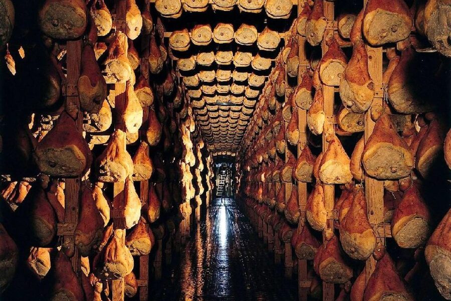 From Parma: Parmesan, Parma Ham & Balsamic Vinegar Tour - Who will enjoy this day most?