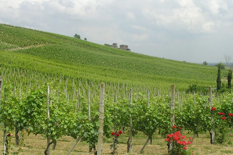 From Parma: Parmesan, Parma Ham & Balsamic Vinegar Tour - Practical tips for a smoother day