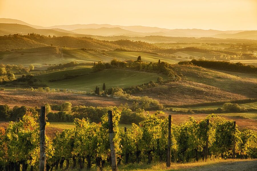 From Rome: Discover Florence and Pisa in a Full-Day Tour - Lunch and the first look at Florence