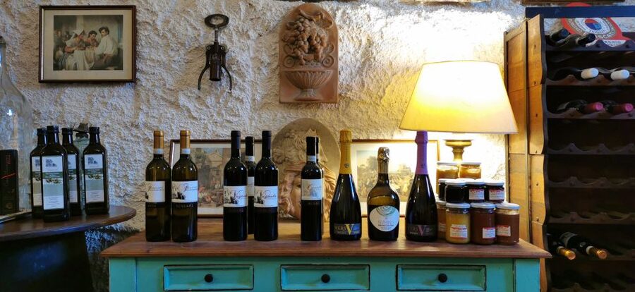 From Rome: Half-Day Frascati Wine Tour with Farmhouse Lunch - From town to the nine-generation farmhouse