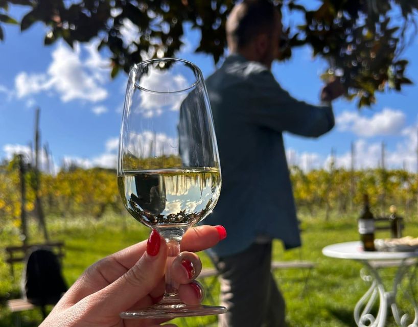 From Rome: Half-Day Frascati Wine Tour with Farmhouse Lunch - Three boutique wines and local olive oil