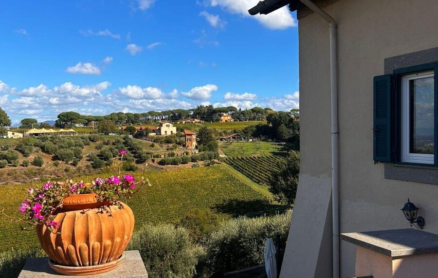 From Rome: Half-Day Frascati Wine Tour with Farmhouse Lunch - The farmhouse lunch is the heart of the day