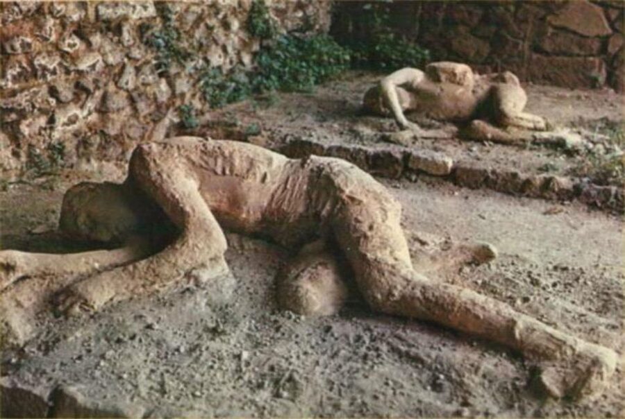 From Rome: Pompeii All-Inclusive Tour with Live Guide - What lunch really includes