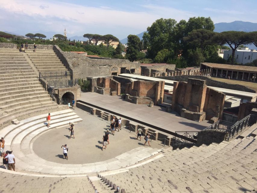 From Rome: Pompeii All-Inclusive Tour with Live Guide - Who will get the most from this Pompeii tour?