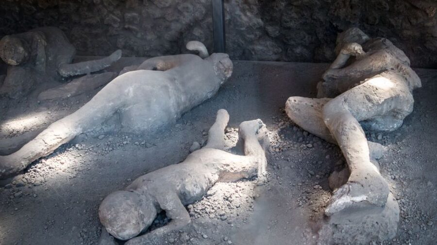 From Rome: Pompeii and Naples Day Trip by High-Speed Train - One hour of free time in Naples