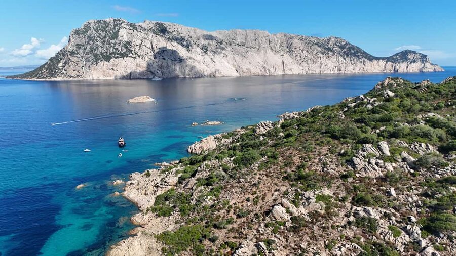 From San Teodoro: Tavolara Archipelago Grand Tour - Molara’s Natural Pools and the First Swim