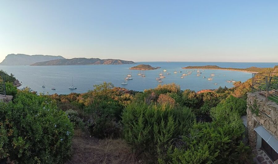 From San Teodoro: Tavolara Archipelago Grand Tour - Cala Brandinchi, Sardinia’s Little Tahiti