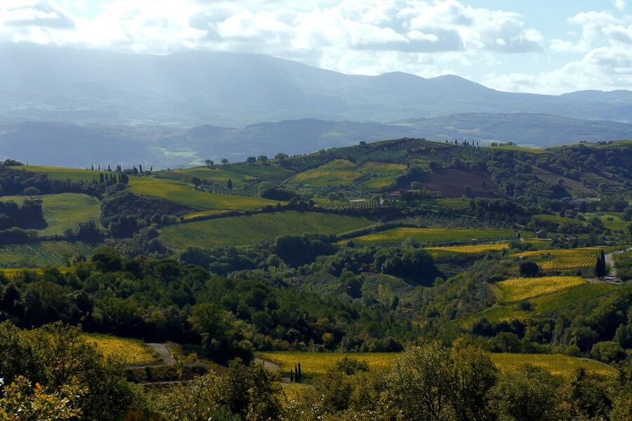 From Siena: Brunello di Montalcino Guided Wine Tour W/ Lunch - What $203.91 buys you