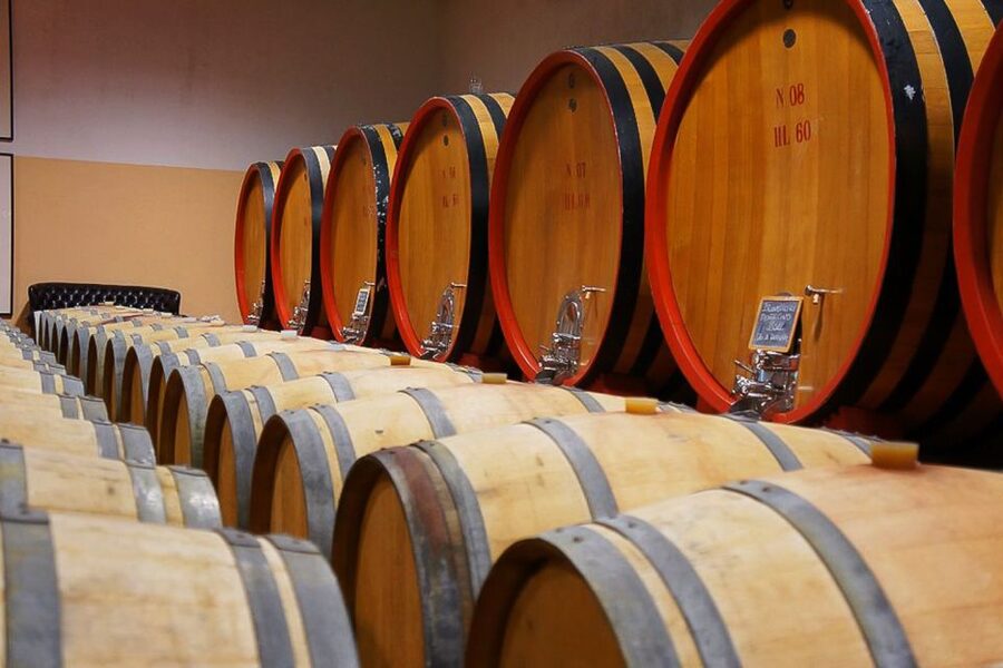 From Siena: Brunello di Montalcino Guided Wine Tour W/ Lunch - First winery: start with vines and cellars