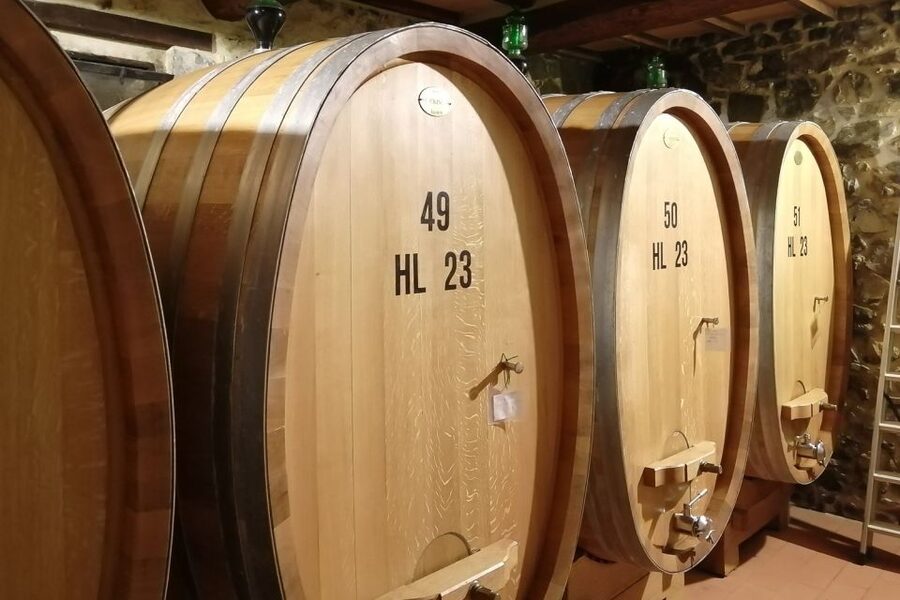 From Siena: Brunello di Montalcino Guided Wine Tour W/ Lunch - Montalcino: fortress views and limited free time