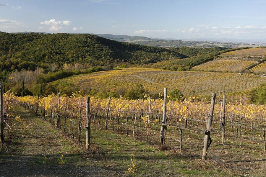 From Siena: Brunello di Montalcino Guided Wine Tour W/ Lunch - A family winery lunch worth making time for