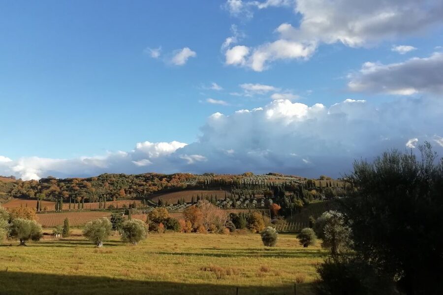 From Siena: Brunello di Montalcino Guided Wine Tour W/ Lunch - The third winery and the final tasting