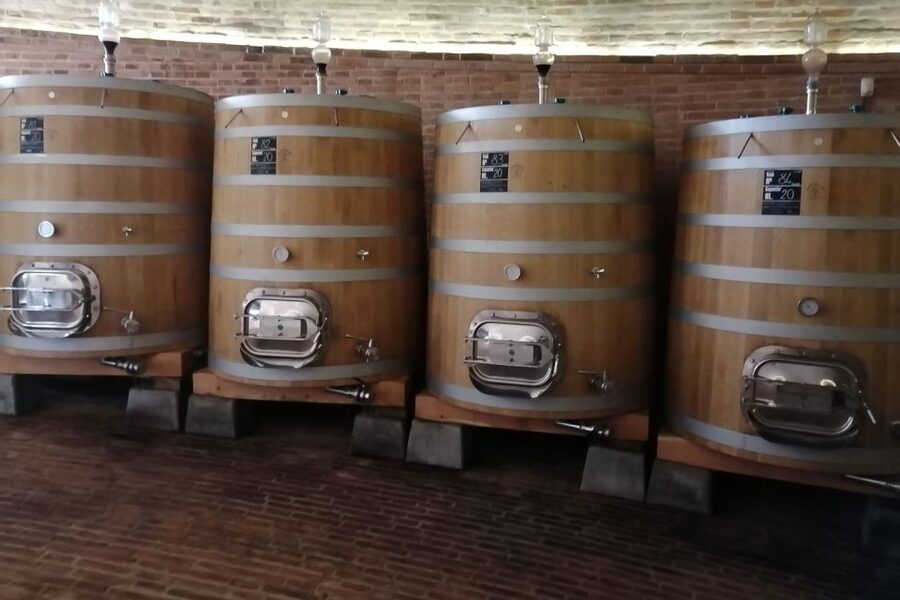 From Siena: Brunello di Montalcino Guided Wine Tour W/ Lunch - The guides make or break a long day