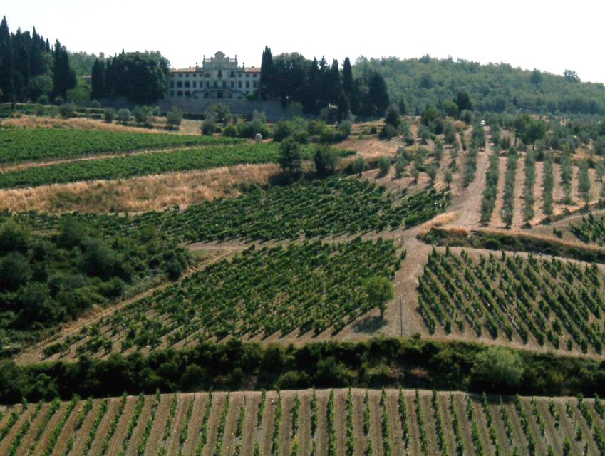 From Siena: Chianti and Castles Tour with Wine Tastings - Through the Chianti Hills by Minivan