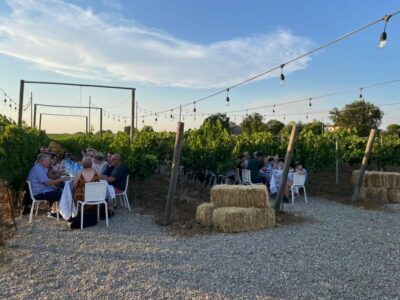Chianti and Castles Tour with Wine Tastings
