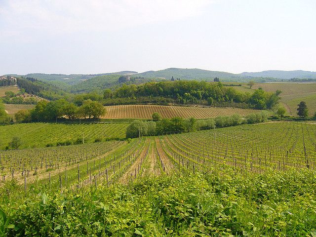 From Siena: Chianti and Castles Tour with Wine Tastings - Lornano and the Second Tasting