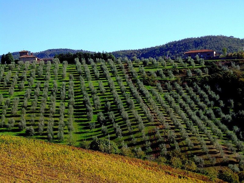From Siena: Chianti and Castles Tour with Wine Tastings - Monteriggioni and the Castle Question