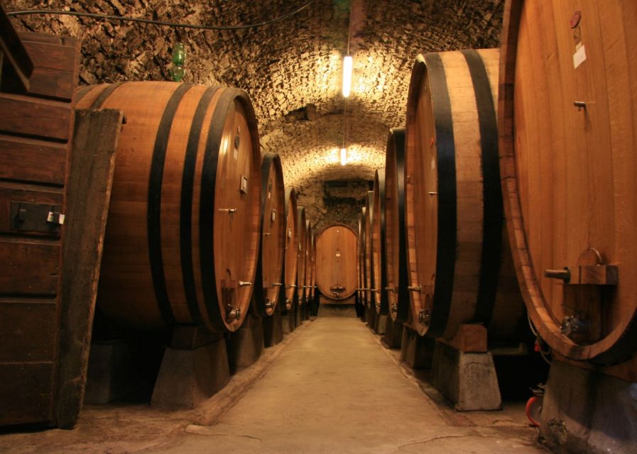 From Siena: Chianti and Castles Tour with Wine Tastings - Who Will Enjoy This Tour Most