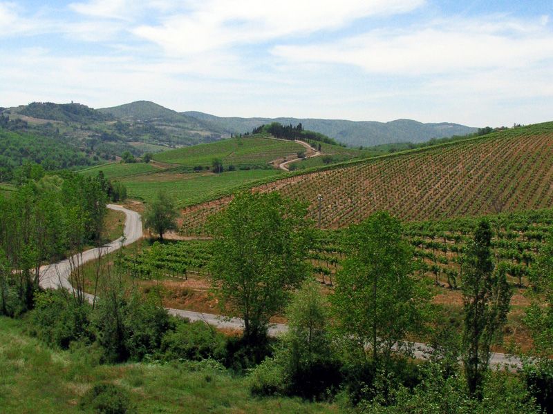 From Siena: Chianti and Castles Tour with Wine Tastings - Timing, Comfort, and Useful Tips