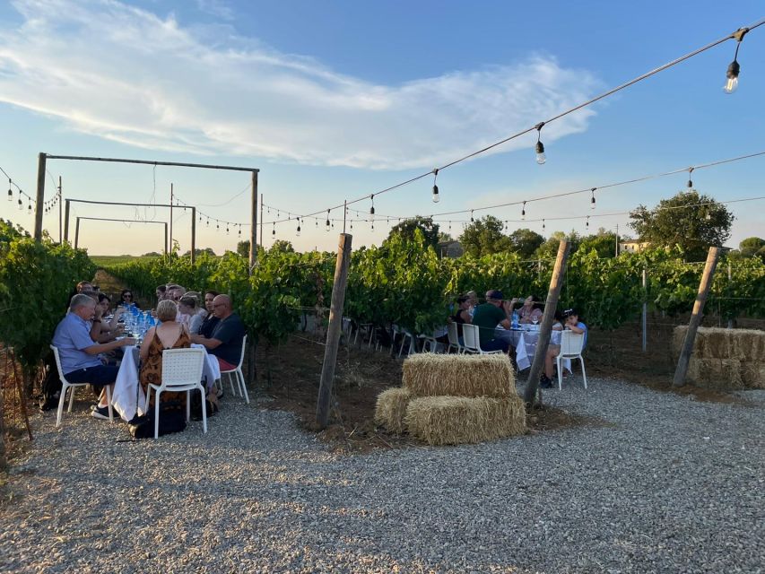 From Siena: Chianti and Castles Tour with Wine Tastings - Castellina in Chianti: A Taste of a Hill Town