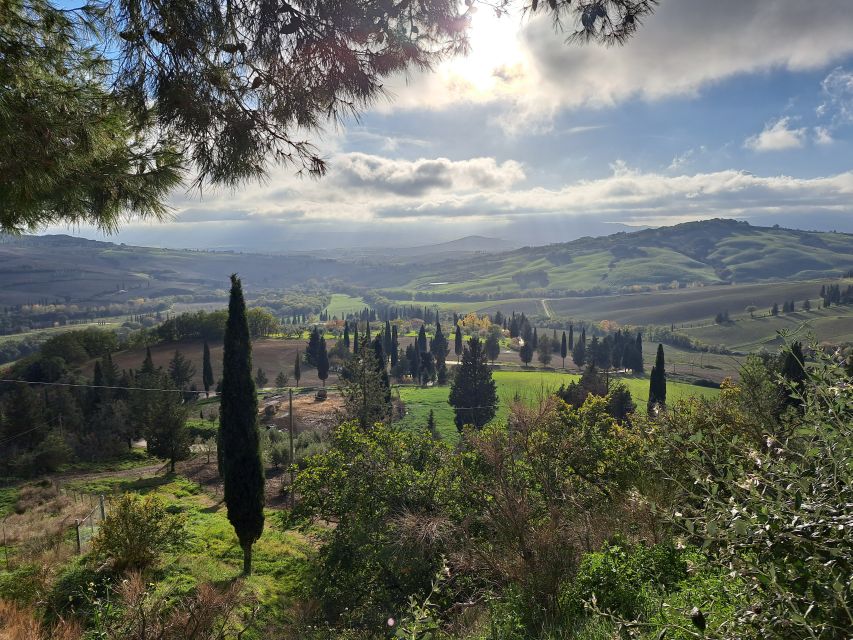 From Siena: Pienza and Montepulciano Small-Group Tour - Pienza and the idea of a perfect town