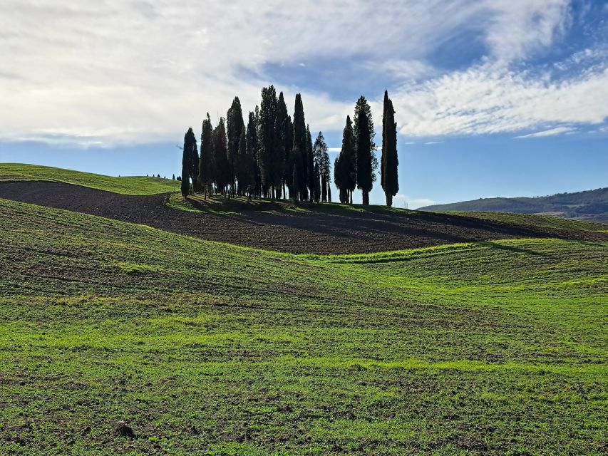 From Siena: Pienza and Montepulciano Small-Group Tour - Guides make or break a small-group day