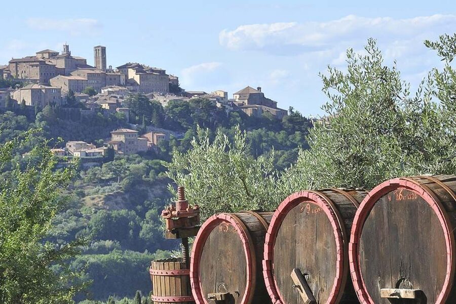 From Siena: Tuscany Hills Wine Tour - Guides, languages, and the group experience