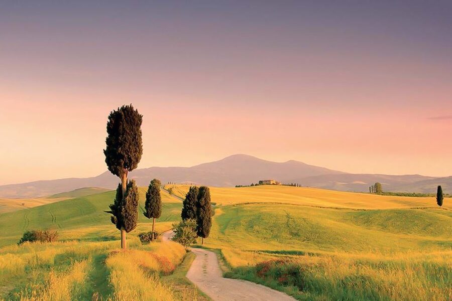 From Siena: Tuscany Hills Wine Tour - Walking, timing, and what to pack