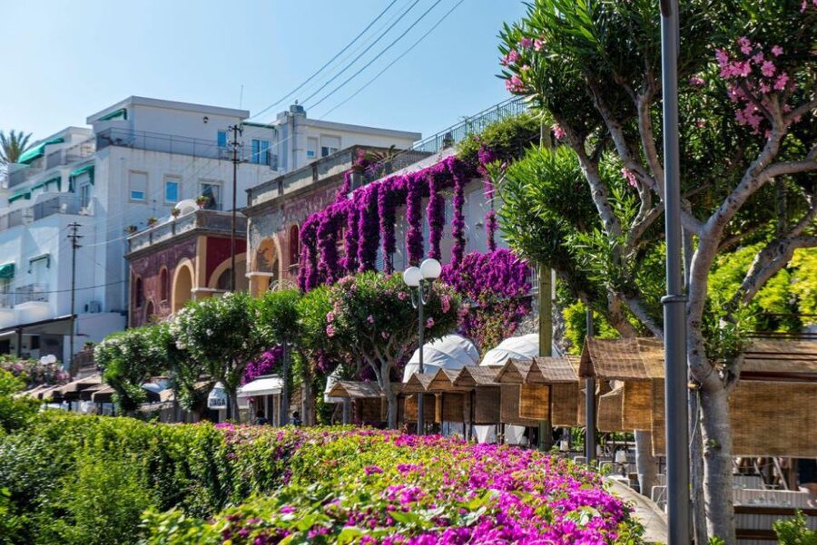 From Sorrento: Capri, Anacapri, & Blue Grotto Full-Day Trip - Lunch Is Flexible, Not a Fixed Meal