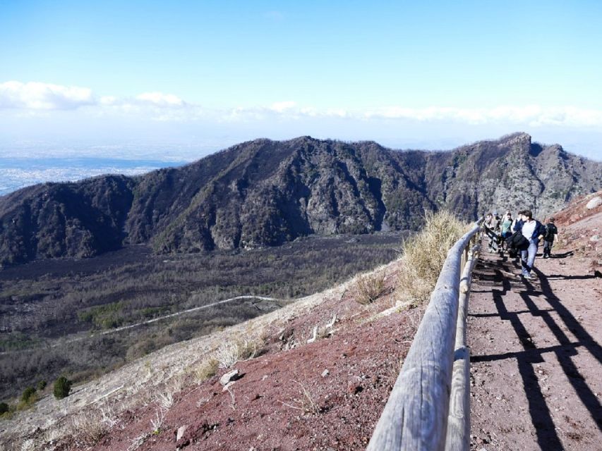 From Sorrento: Day Tour to Pompeii Ruins and Mount Vesuvius - Pompeii: where the guide earns the ticket price