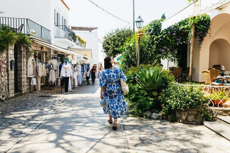 From Sorrento/Nerano: Capri Island Cruise with Guide Onboard - What the $75.45 price really covers