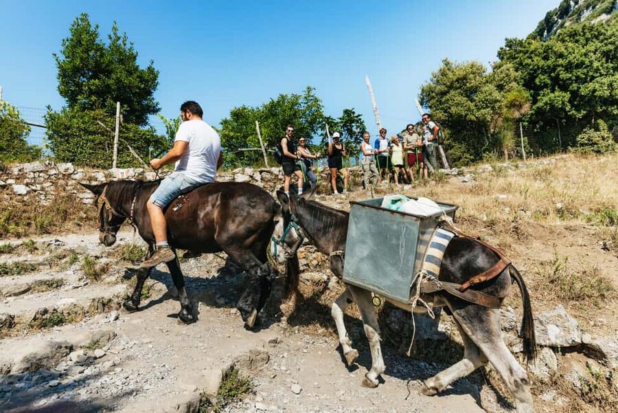 From Sorrento: Path of the Gods Guided Hike with Transfers - Practical packing advice for the trail