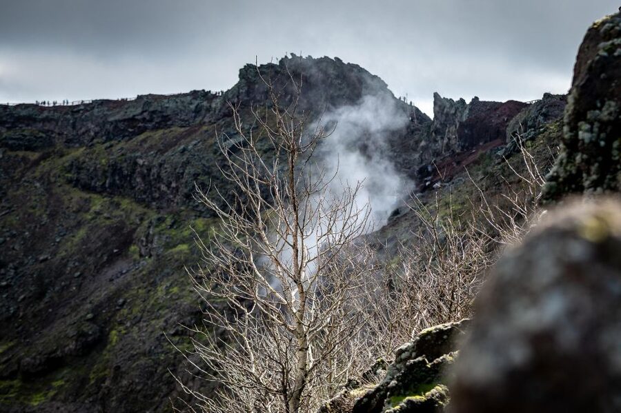 From Sorrento: Pompeii and Vesuvius Guided Tour with Lunch - Pizza on the slopes of the volcano