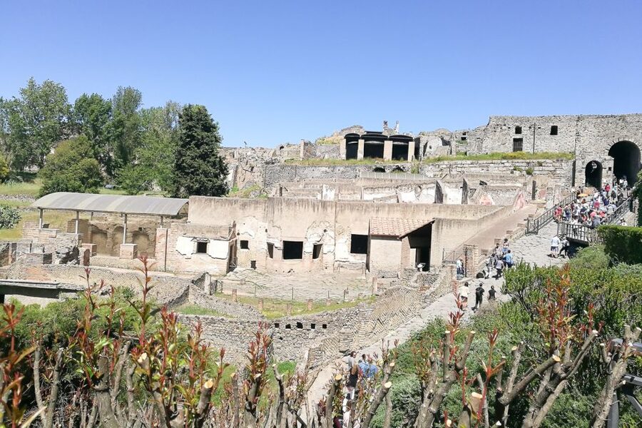 From Sorrento: Pompeii and Vesuvius Tour - Should you book this Sorrento day trip?