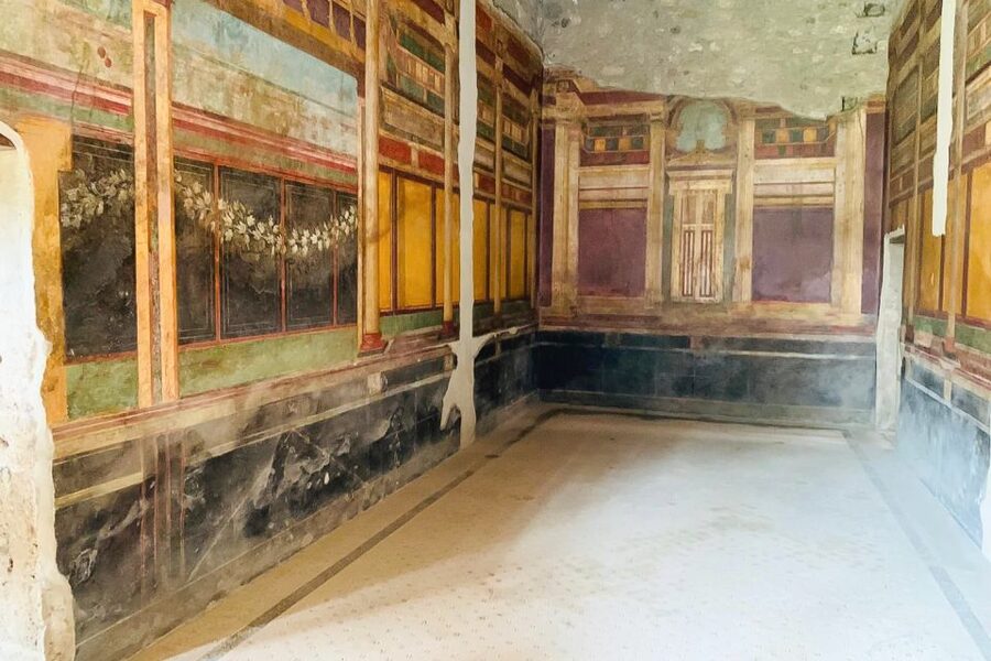 From Sorrento: Pompeii and Vesuvius Tour - Guides, drivers, and the feel of the day