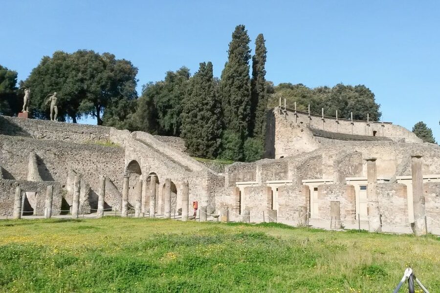 From Sorrento: Pompeii and Vesuvius Tour - Who will get the most from this tour?