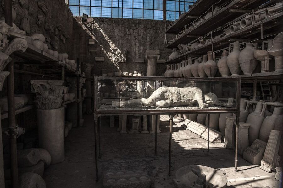 From Sorrento: Pompeii Half-Day Skip-the-Line Tour - What you see in the 2.5-hour guided visit