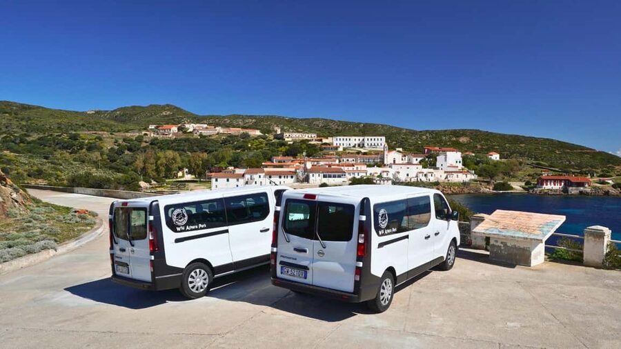 From Stintino: Asinara minivan tour - The Asinara details worth knowing first